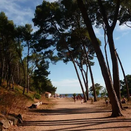 Daniel * Saint-Cyr-sur-Mer